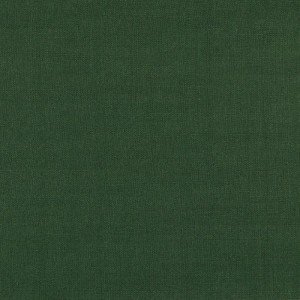 Tecido Liso Canvas - Verde (225g)